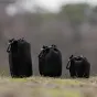 Lens pouches - Caruba Neopreen Lenstas M CLP M - quick order from manufacturer