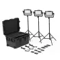 Discontinued - Litepanels Astra IP Half Traveler Trio LED Panel GM&VM Kit (936-0103)