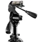 Foto statīvi - walimex pro FT-665T Tripod 185cm + Pro-3D Panhead 18835 - ātri pasūtīt no ražotāja