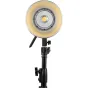 Monolight Style - ZHIYUN LED MOLUS B200 COB LIGHT B200 - quick order from manufacturer