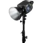 Monolight Style - ZHIYUN LED MOLUS B500 COB LIGHT B500 - quick order from manufacturer