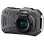 PentaxWG-1000,seriy02154