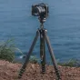 Photo Tripods - Falcam TreeRoot Quick Lock Travel Tripod T00A4301 - quick order from manufacturer