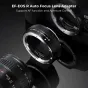 Adapters for lens - K&F Adapter bagnetowy K&F Concept - Canon EF / Canon RF - quick order from manufacturer