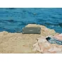 Studio monitors - Sony wireless speaker ULT Field 1, green SRSULT10H.CE7 - quick order from manufacturer