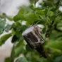 Camouflage - Caruba Camouflage Wrap Tape 4 Pack Riet CWT 4PR - quick order from manufacturer