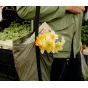 Other Bags - Peak Design Packable Tote, sage BPT-SG-1 - quick order from manufacturer