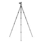 Photo Tripods - Leofoto Ranger LS-254C+LH-30 tripod - quick order from manufacturer