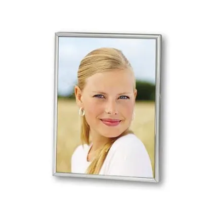 Zep 120S06-8R Silver Plated Frame 20x25 cm