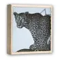 Juodai baltas leopardo portretas su ryškiais kailio raštais ir intensyviu žvilgsniu