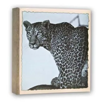 Juodai baltas leopardo portretas su ryškiais kailio raštais ir intensyviu žvilgsniu
