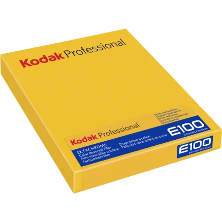 KODAK EKTACHROME E100 8X10 10 SHEETS 1069822