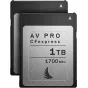 Memory Cards - ANGELBIRD CFEXPRESS AV PRO (MATCH PACK NIKON D6) (R1700) 1TB 2 PACK MP-D6-1TBC - quick order from manufacturer