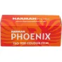 New products - HARMAN PHOTO HARMAN PHOENIX ISO 200 120 FILM 1182175 - quick order from manufacturer