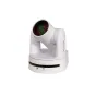 New products - Marshall Electronics CV612-TWI - quick order from manufacturer