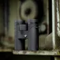 New products - GPO Passion 8x32ED Verrekijker Zwart B300 - quick order from manufacturer