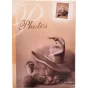 PoldomAlbumsMM10x15200MAssort