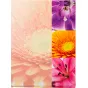PoldomAlbumsMM10x15200MAssort