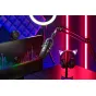 RazermicrophoneSeirenV2Pro,blackRZ19-04040100-R3M1