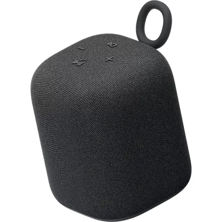 Sony wireless speaker LinkBuds SRS-LS1, black SRSLS1B.CE7