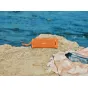 Studio monitors - Sony wireless speaker ULT Field 1, orange SRSULT10D.CE7 - quick order from manufacturer