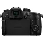 Mirrorless Cameras - Panasonic Lumix DC-GH5 + 12-60mm f/2.8-4.0 Kit DC-GH5LEG-K - quick order from manufacturer