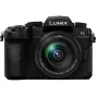 Panasonic Lumix G95D (90/91/99) + Panasonic LUMIX G Vario 12-60mm f/3.5-5.6 Asph. Power O.I.S (H-FS12060) (Black) DCG95DMK