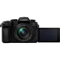 Panasonic Lumix G95D (90/91/99) + Panasonic LUMIX G Vario 12-60mm f/3.5-5.6 Asph. Power O.I.S (H-FS12060) (Black) DCG95DMK