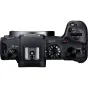 Canon EOS RP Mirrorless Camera with RF 800mm Lens and Adapter 9949292185432