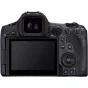 Mirrorless Cameras - Canon EOS R5 Mark II Camera with RF 24-105mm Lens + RF adapter - quick order from manufacturer