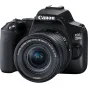 DSLR Cameras - Canon EOS 250D DSLR Camera with EF-S 18-55mm & 50mm Lenses 3454C014 - quick order from manufacturer