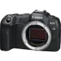 Mirrorless Cameras - Canon EOS R8 Camera Kit with RF 50mm F1.8 STM Lens + Mount Adapter EF-EOS R - quick order from manufacturer