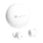 Headphones - HiFiMAN TWS earphones TWS450 TWS450 - quick order from manufacturer
