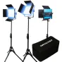 Light Panels - Dracast X Series LED500 Daylight LED 3 Light Kit with Nylon Padded Travel Case (DRX3500DNS) - quick order from manufacturer