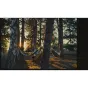 Photo films - SILBERSALZ35 500T 13536 ECN2 Cinefilm - buy today in Master Foto store and with delivery