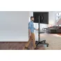 Other studio accessories - TV mount 23-60 Perlesmith PSTVMC06 - buy today in Master Foto store and with delivery