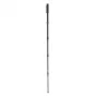 Monopods - Benro SuperSlim Monopods MSSL09C - buy today in Master Foto store and with delivery