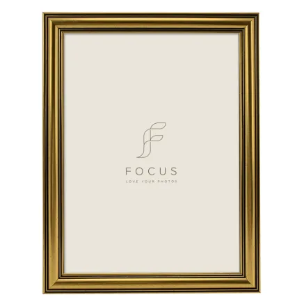 FOCUS HOLLY GOLD 30X40 132617