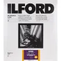 Photo paper - ILFORD PHOTO ILFORD MULTIGRADE RC DELUXE SATIN 8.9X12.7CM 100 1180420 - quick order from manufacturer