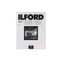 Photo paper - ILFORD PHOTO ILFORD MULTIGRADE RC PORTFOLIO PEARL 30,5X40,6 CM 10 SHEETS 1181641 - quick order from manufacturer