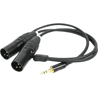 Audio cables, adapters - HOLLYLAND 3.5MM TO DUAL XLR AUDIO CABLE HL-XLR02 - quick order from manufacturer