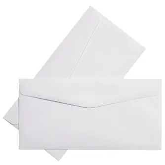 Photo paper for printing - FOCUS ENVELOPE WHITE 110X220 100G 500PCS 128482 - quick order from manufacturer