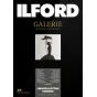Photo paper - ILFORD GALERIE RASTER SILK 290G A2 25 SHEETS 2002723 - quick order from manufacturer