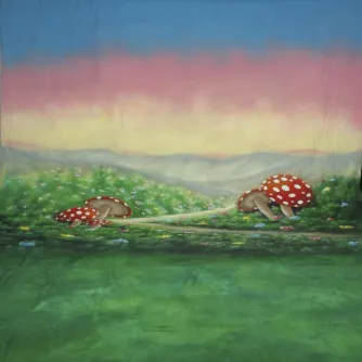 Foto foni - walimex pro Motif Cloth Background Alice, 3x6m - ātri pasūtīt no ražotāja