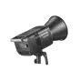 Monolight Style - Godox LE300Bi Black Litemons Bi Color LED Video Light - buy today in Master Foto store and with delivery