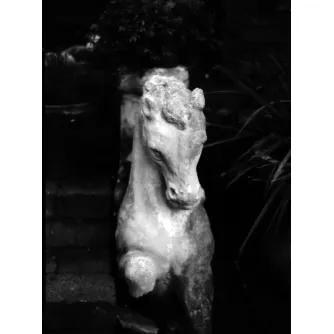 Produkto paveikslėlis