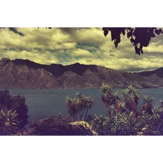 Produkto paveikslėlis