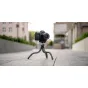 Mini Tripods - Newell Torsio Light Stand - buy today in Master Foto store and with delivery