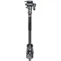 Video Tripods - SMALLRIG 5565 CARBON FIBER VIDEO MONOPOD 5565 - quick order from manufacturer