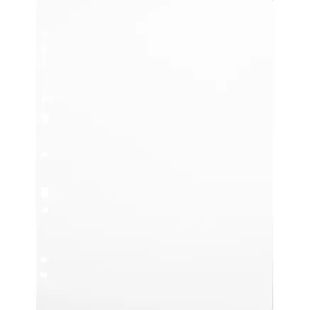 FOCUS CARTON REFILLSHEETS FOR RINGBINDER A4 WHITE 30-PACK 134079